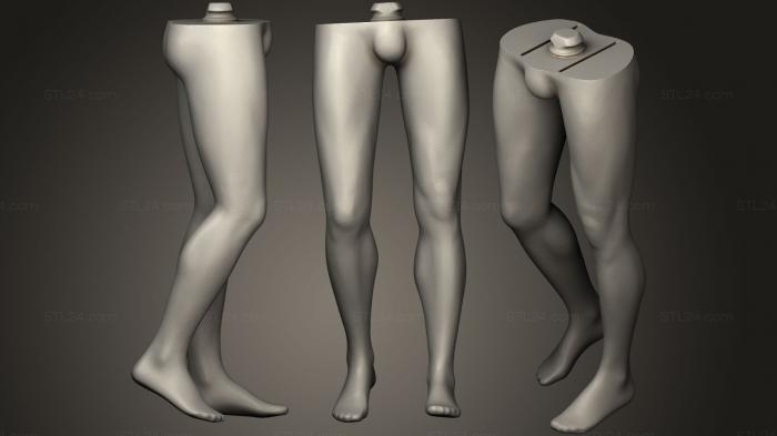 Male Legs Mannequin
